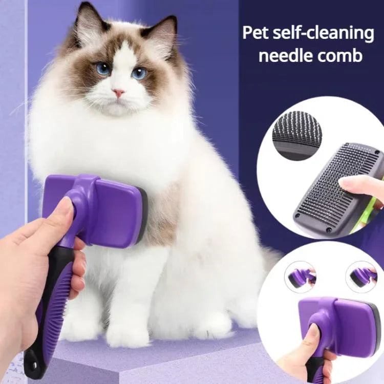 Pet Cleaning