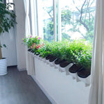 植物牆垂直室內及室外陽台壁掛式花盆 創意樹脂塑膠花盆組合，附可拆式花盆