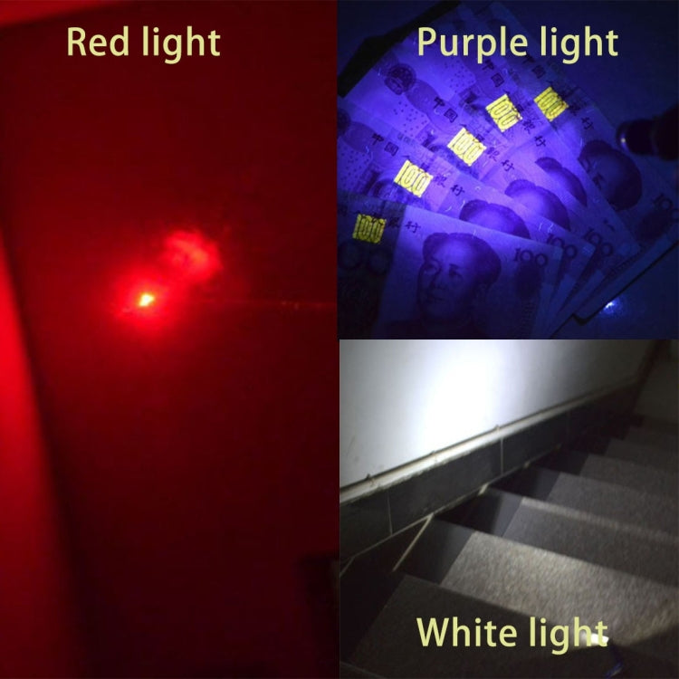 2pcs Outdoor Keychain Metal Shell Mini LED Flashlight Laser Light with Money Detecting
