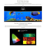 SEETEC 4K215-9HSD-CO 1920x1080 21.5 吋 SDI / HDMI 全高清導演盒攝影機現場監視器，4K215-9HSD-CO