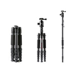 TRIOPO T259G+Q2 可調式便攜碳纖維三腳架，附 Q-2 球型雲台，適用於單眼相機，T259G+Q2