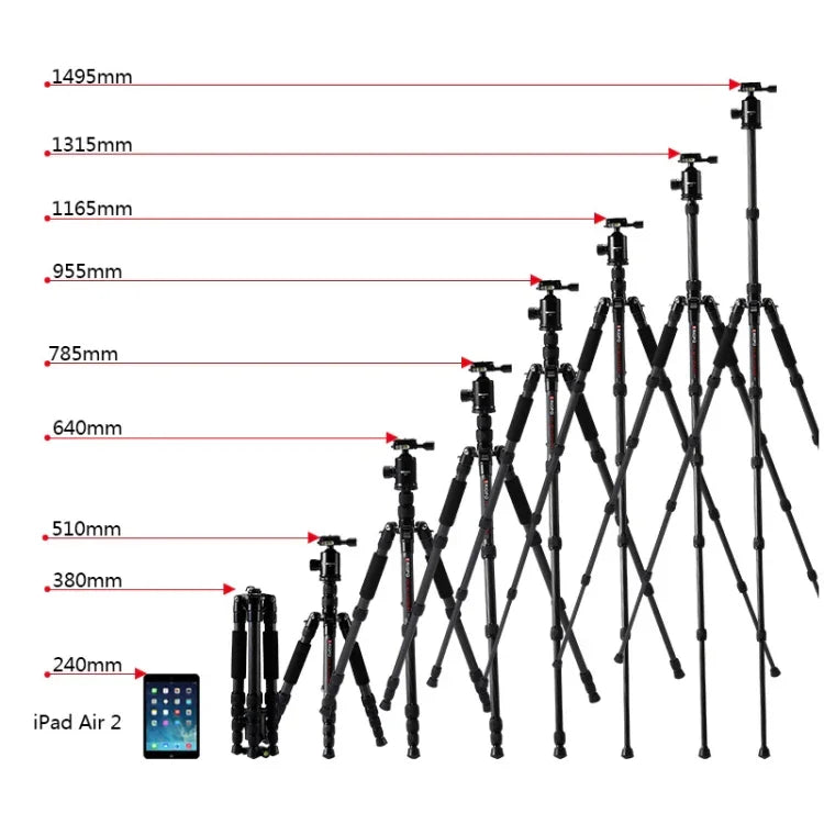 TRIOPO T259G+Q2 可調式便攜碳纖維三腳架，附 Q-2 球型雲台，適用於單眼相機，T259G+Q2