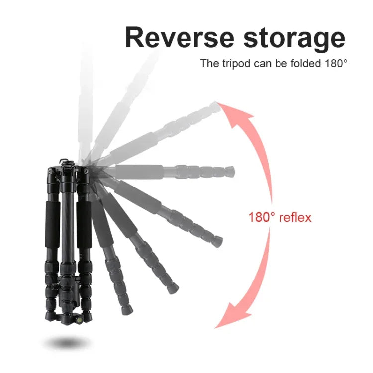 TRIOPO T259G+Q2 可調式便攜碳纖維三腳架，附 Q-2 球型雲台，適用於單眼相機，T259G+Q2