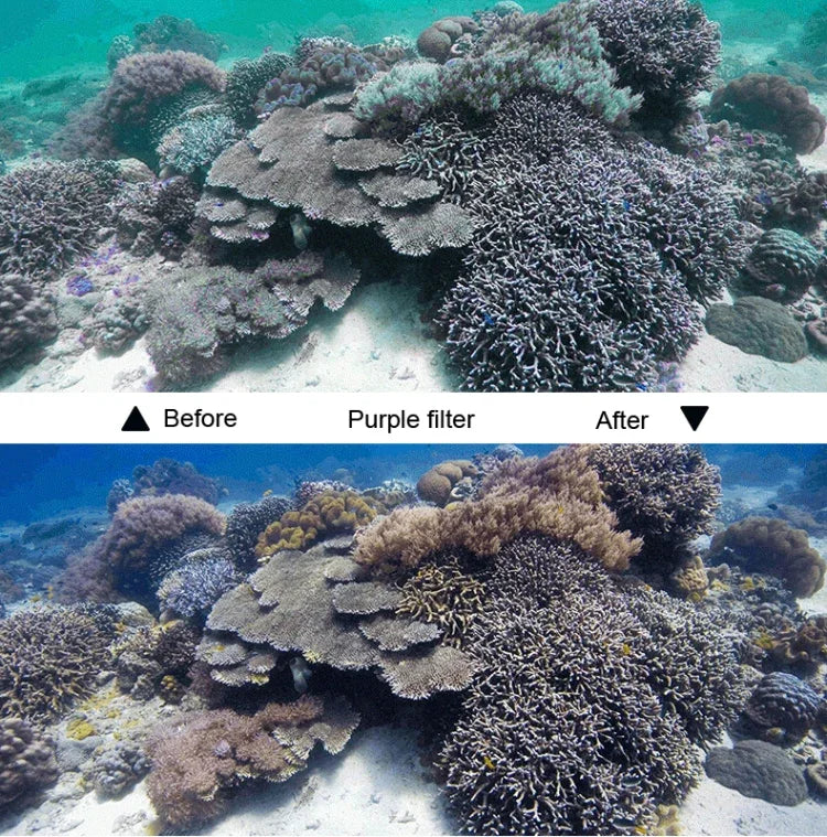 45米防水外殼保護套 + 觸控螢幕背蓋，適用於GoPro NEW HERO /HERO6 /5，附扣環基本固定座及螺絲及（紫色、紅色、粉色）濾鏡，無需拆鏡頭，觸控螢幕 + 濾鏡（透明）