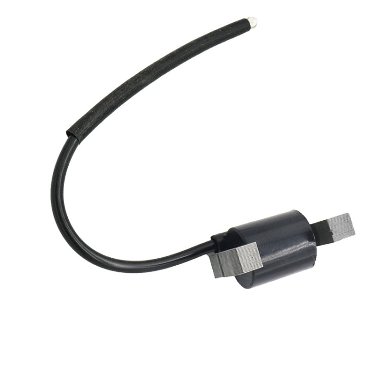 高壓點火線圈 適用 Briggs & Stratton 392329 394891 394988 590781，適用 Briggs & Stratton 392329