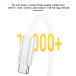 100W 5 針 MagSafe 2（T 形）轉 USB-C / Type-C PD 充電線，線長：1.8m，MagSafe 2（T 形）