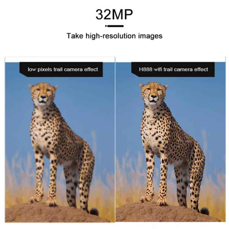画像代替テキスト