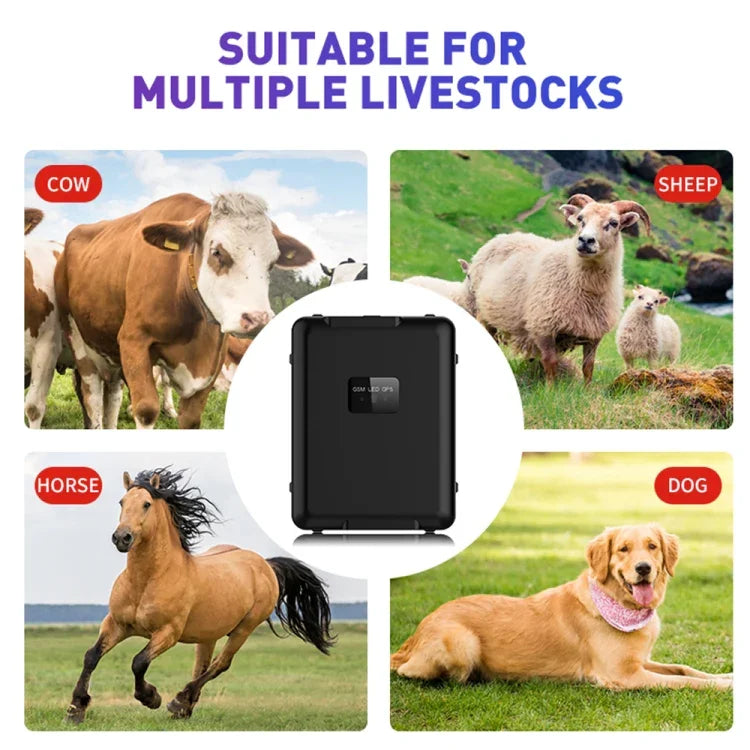 多功能防水牲畜定位追蹤器，V55 30000mAh，V55 20000mAh