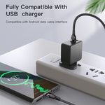 YESIDO CA111 1.2米 4A USB 轉雙 Type-C + 雙 8 Pin 充電線，CA111
