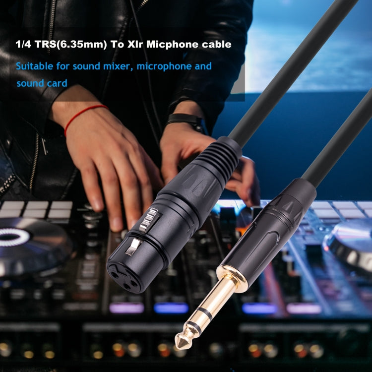 6.35mm 1/4 TRS 公頭轉 XLR 3 針母頭麥克風線，1m、1.8m、3m、5m、10m
