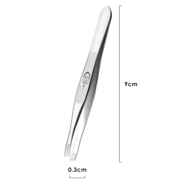 نص بديل للصورة