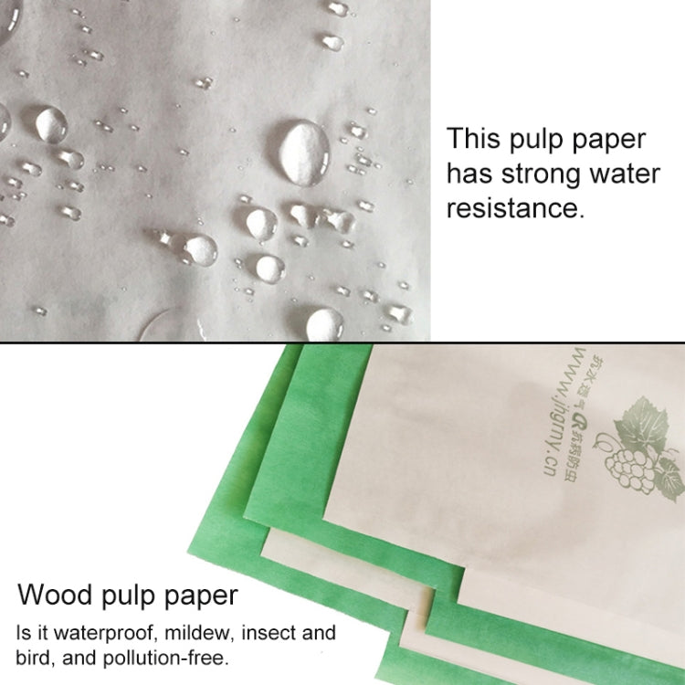 圖片替代文字