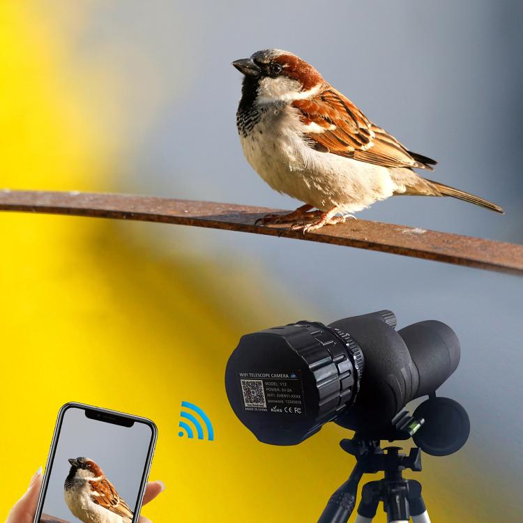 圖片替代文字