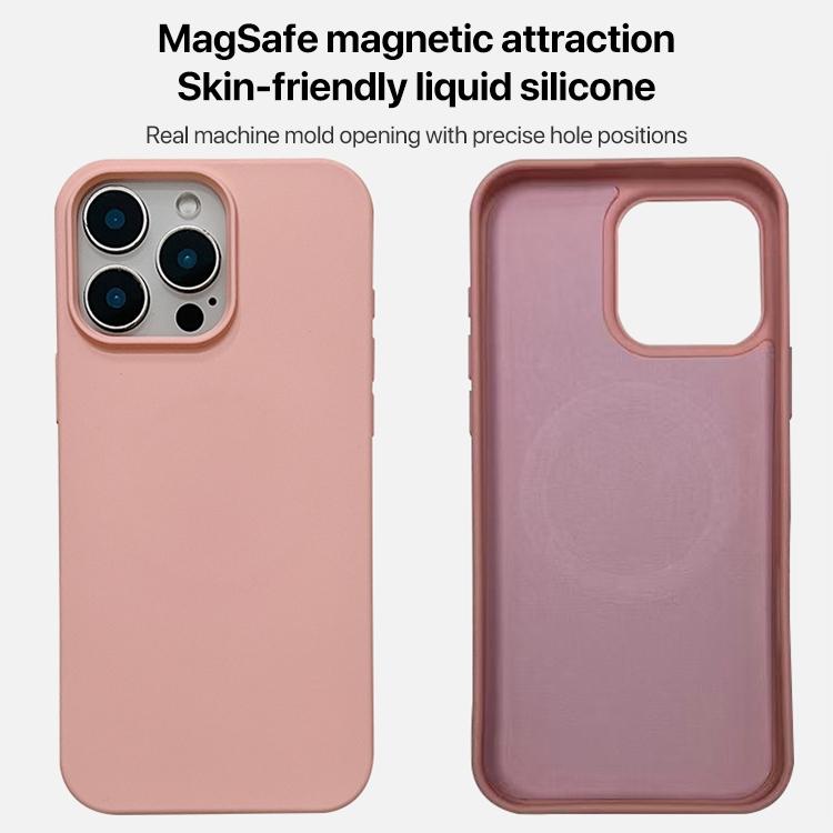液態矽膠手機 MagSafe 保護殼，適用於 iPhone 11、iPhone 11 Pro
