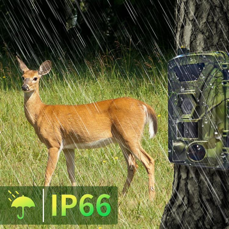 PR802G 4G 歐版 4K 高清夜視紅外線動態偵測狩獵相機，PR802G