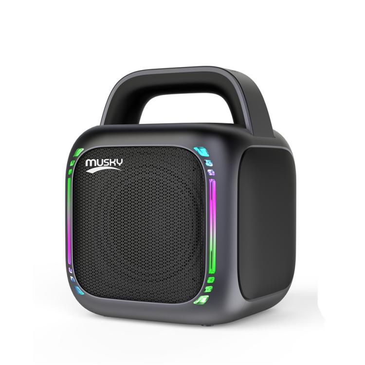 MS6K 便攜 RGB 燦爛藍牙喇叭 戶外卡拉 OK 低音炮，無麥克風，雙麥克風