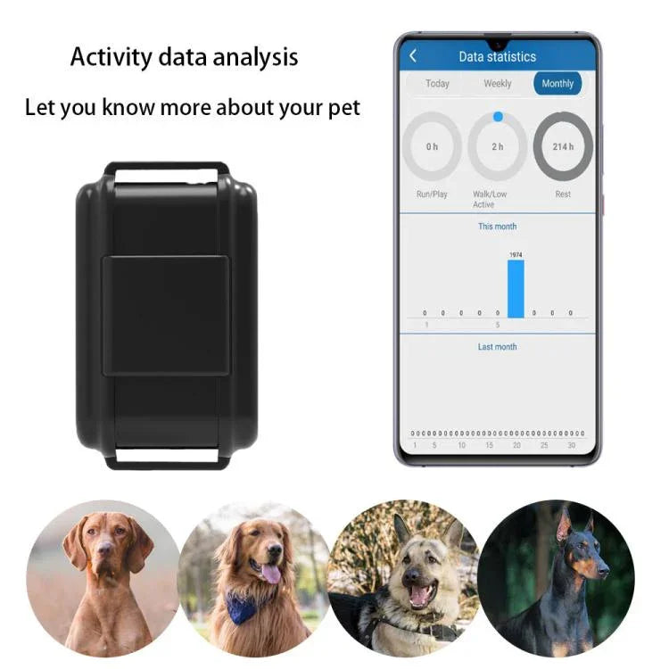 TK919 4G 狗項圈 IP67 防水 GPS 定位器