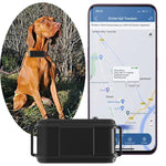 TK919 4G 狗項圈 IP67 防水 GPS 定位器