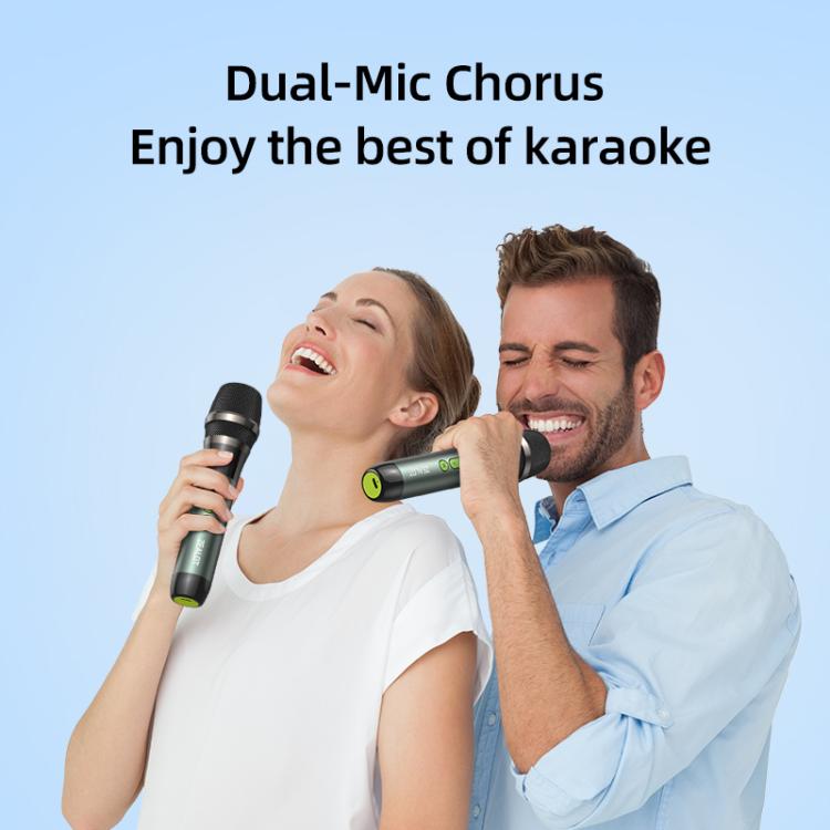 Zealot S76 50W 便攜戶外 RGB 藍牙喇叭，附 2 支麥克風，附 1 支麥克風，不含麥克風