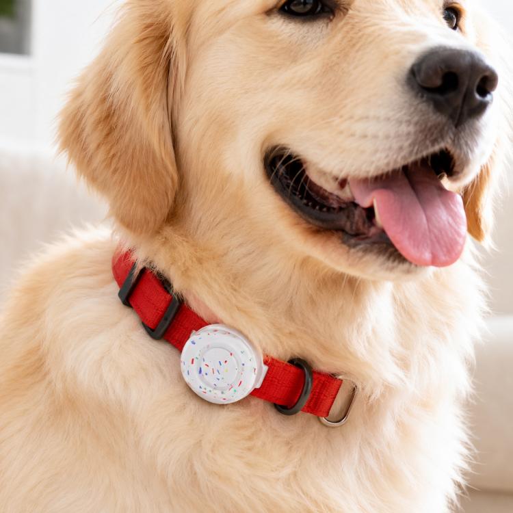 XDcase 寵物設計防水矽膠保護殼，適用於 AirTag
