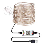 RGB USB LED銅線燈串節日裝飾燈串藍牙手機APP控制，2米20燈，5米50燈，10米100燈，12米120燈，15米150燈，20米200燈