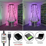 RGB USB LED銅線燈串節日裝飾燈串藍牙手機APP控制，2米20燈，5米50燈，10米100燈，12米120燈，15米150燈，20米200燈