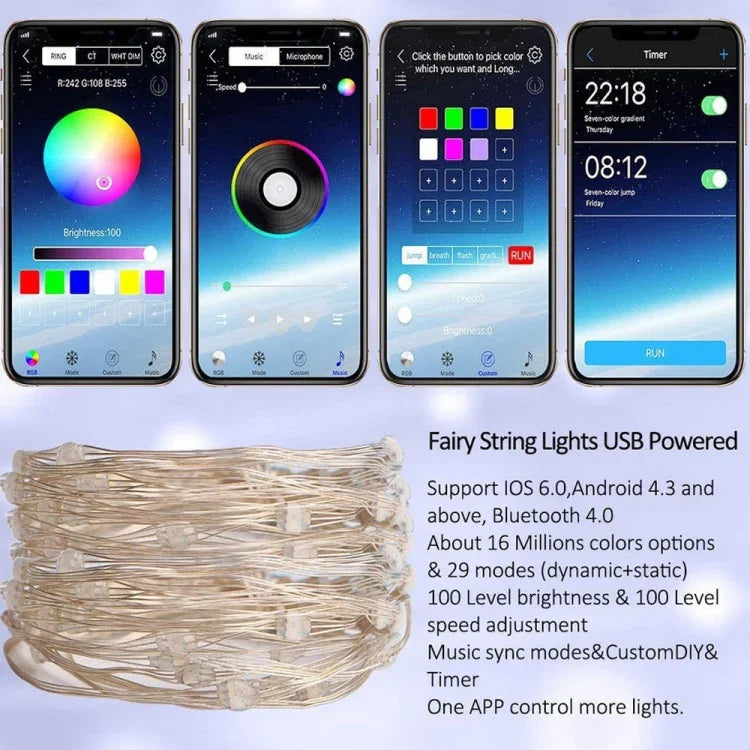 RGB USB LED銅線燈串節日裝飾燈串藍牙手機APP控制，2米20燈，5米50燈，10米100燈，12米120燈，15米150燈，20米200燈