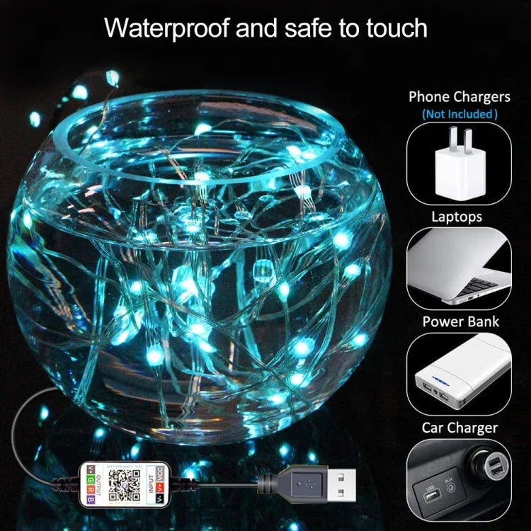 RGB USB LED銅線燈串節日裝飾燈串藍牙手機APP控制，2米20燈，5米50燈，10米100燈，12米120燈，15米150燈，20米200燈