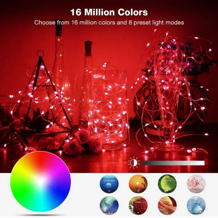 RGB USB LED銅線燈串節日裝飾燈串藍牙手機APP控制，2米20燈，5米50燈，10米100燈，12米120燈，15米150燈，20米200燈