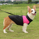 寵物狗棉質背心滑雪服，尺寸：5XL，胸圍：68cm，背長：60cm，尺寸：5XL