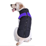 寵物狗棉質背心滑雪服，尺寸：5XL，胸圍：68cm，背長：60cm，尺寸：5XL