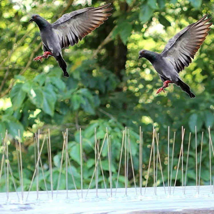 5個/套鳥類驅趕器50厘米不銹鋼釘鳥刺SK411，5個