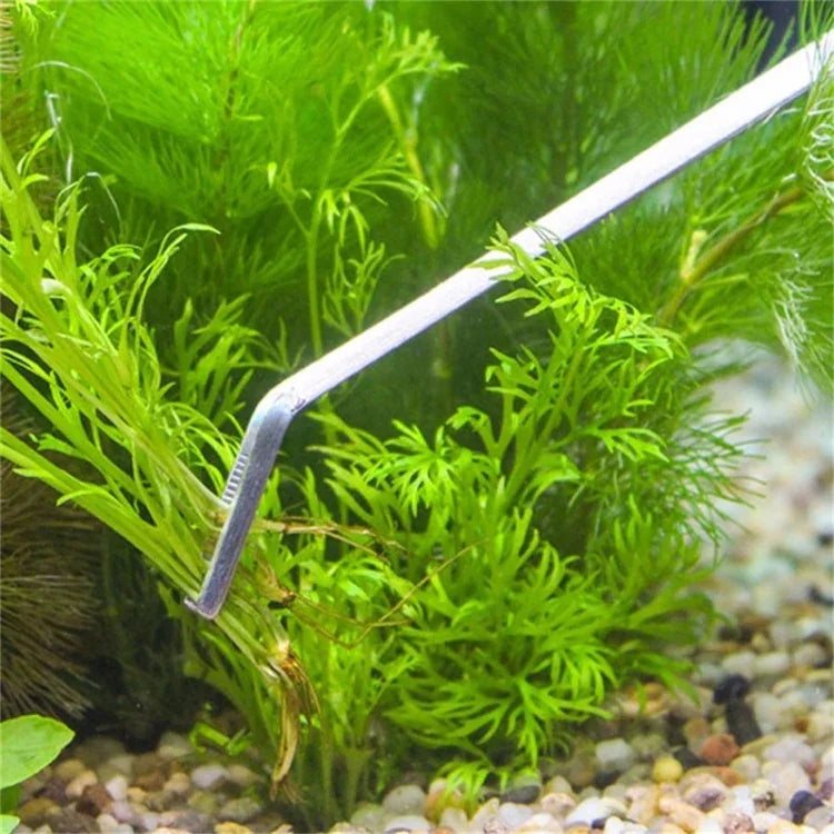 3 合 1 不鏽鋼剪刀、鑷子和夾子，樹植物草迷你水族箱魚缸景觀修剪工具，3 件組