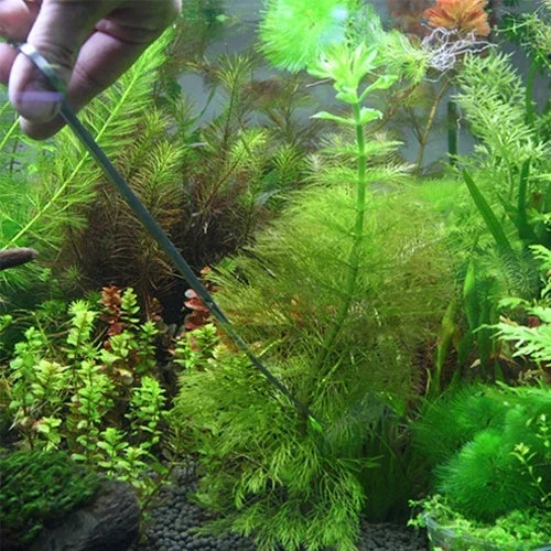 3 合 1 不鏽鋼剪刀、鑷子和夾子，樹植物草迷你水族箱魚缸景觀修剪工具，3 件組