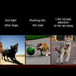 中大型犬寵物太陽能+USB充電LED燈項圈，頸圍尺寸：S，35-40cm，尺寸：S