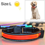 中大型犬寵物太陽能+USB充電LED燈項圈，頸圍尺寸：L，50-60cm，尺寸：L