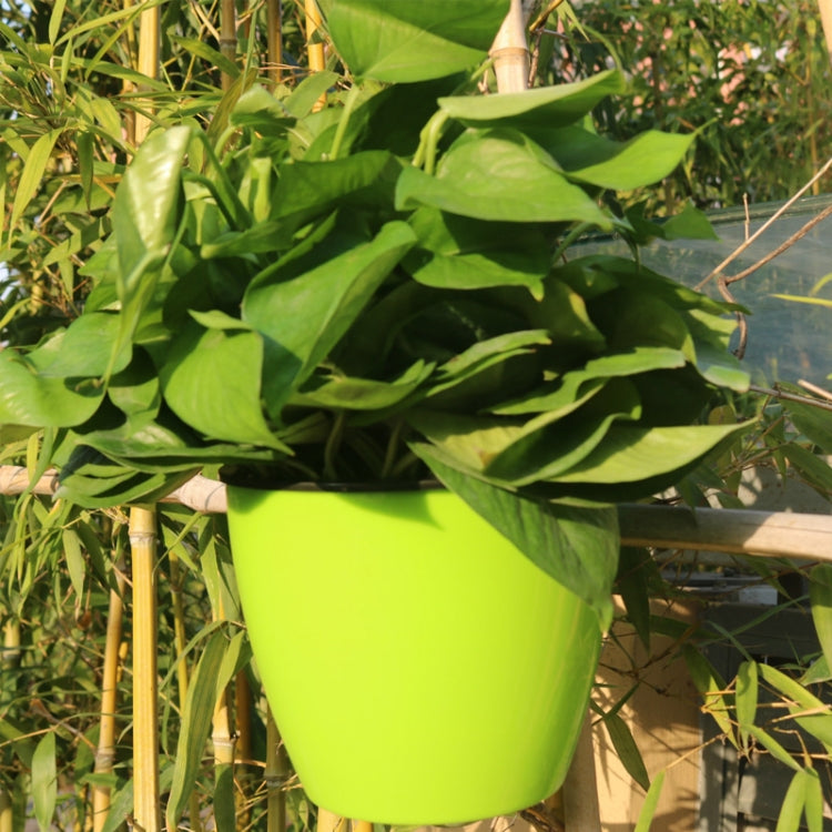 自動澆水花盆種植懶人花盆壁掛圓形樹脂塑膠花盆，尺寸：18x12.5x16cm，尺寸：18x12.5x16cm