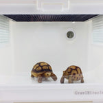 數字圓形爬蟲箱攝氏溫度計及濕度計帶屏幕顯示