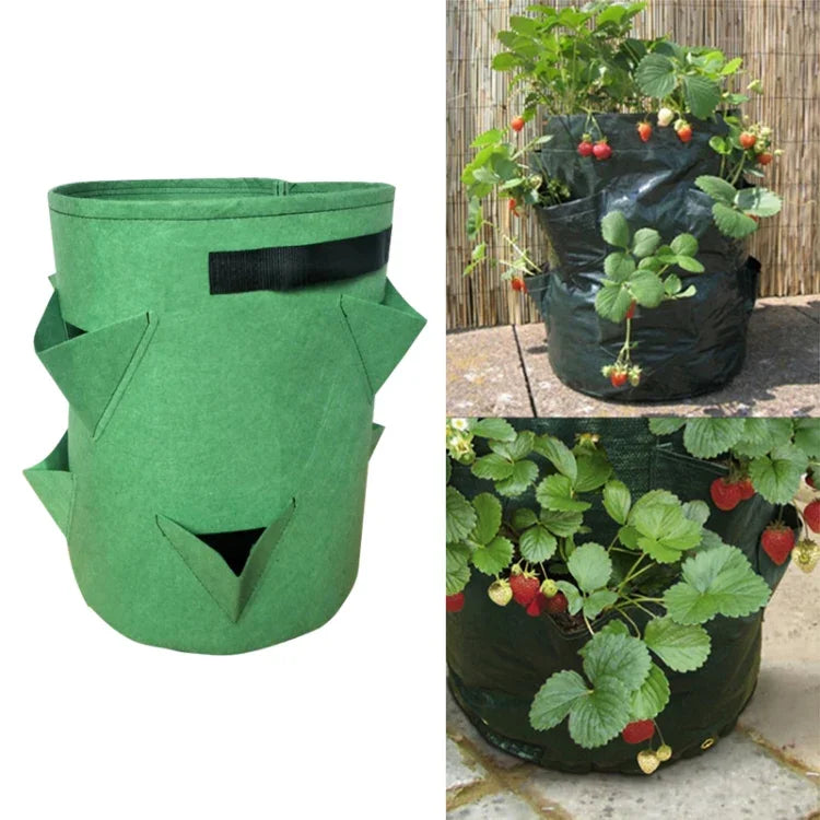 6口袋26L / 7加侖無紡布草莓種植袋，尺寸：30X35cm，尺寸：30X35cm