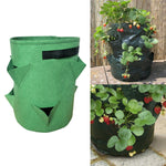 6口袋26L / 7加侖無紡布草莓種植袋，尺寸：30X35cm，尺寸：30X35cm