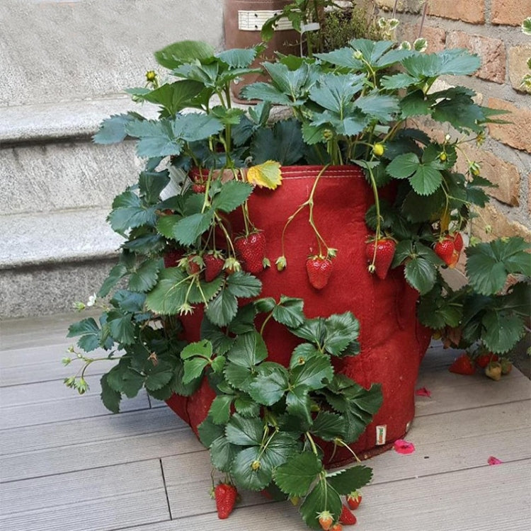 6口袋26L / 7加侖無紡布草莓種植袋，尺寸：30X35cm，尺寸：30X35cm
