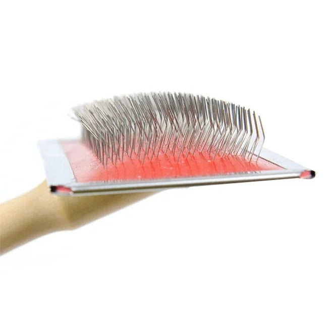 نص بديل للصورة