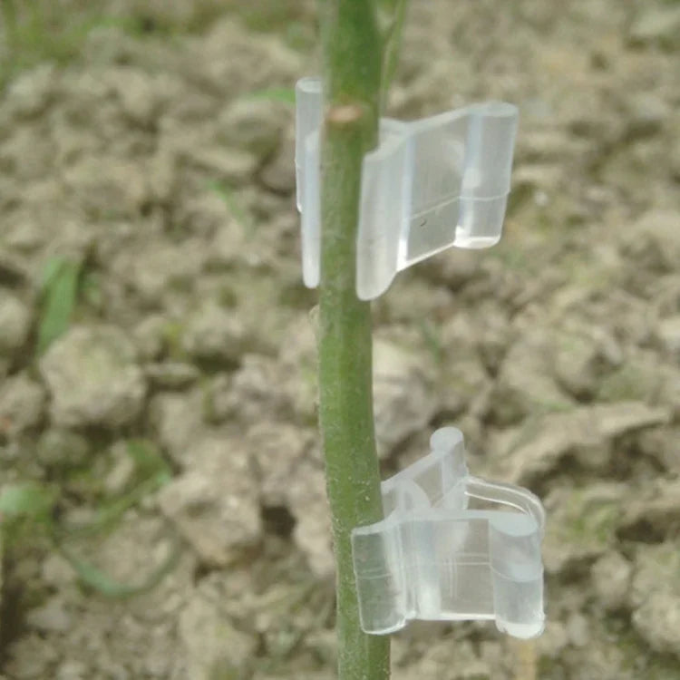 100個植物嫁接園藝塑料嫁接夾 嫁接文件夾透明園藝塑料嫁接夾 番茄嫁接夾，植物嫁接夾