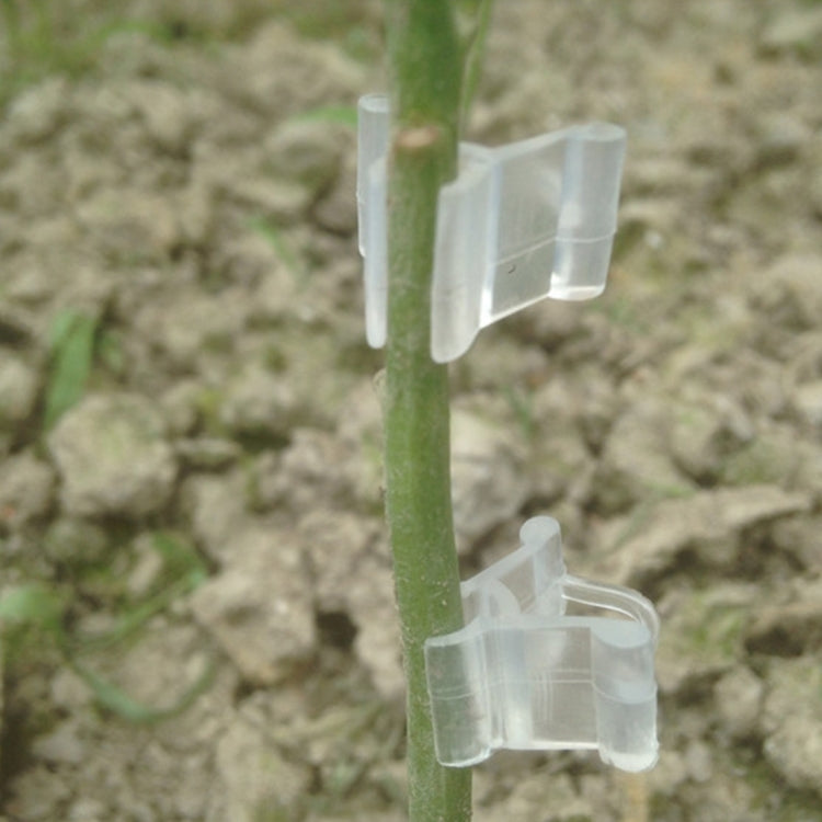 100個植物嫁接園藝塑料嫁接夾 嫁接文件夾透明園藝塑料嫁接夾 番茄嫁接夾，植物嫁接夾