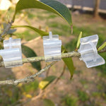 100個植物嫁接園藝塑料嫁接夾 嫁接文件夾透明園藝塑料嫁接夾 番茄嫁接夾，植物嫁接夾