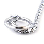 Close-up of a metal dog collar chain showcasing its smooth surface and durable design.