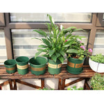 花盆 植物苗圃盆 塑料盆 創意加侖盆 帶托盤，尺寸：12*16*12cm，隨機文字背景色配送，12*16*12cm