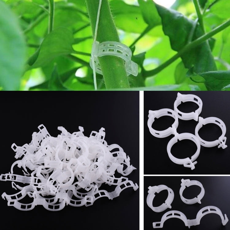 500個25mm塑料固定綁帶夾 吊鉤文件夾藤蔓植物固定夾，500個