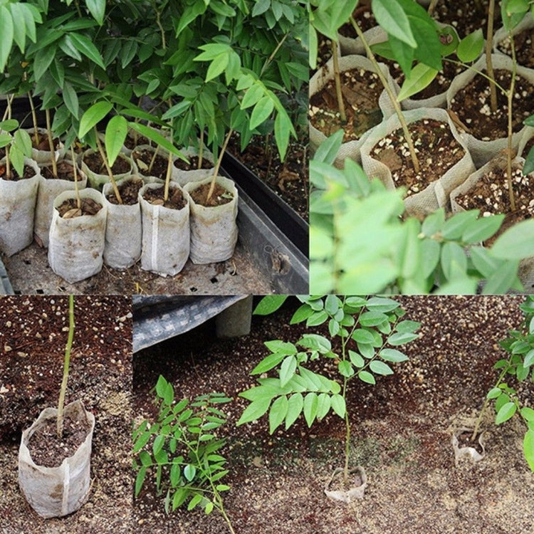 100個/包 苗圃盆苗木培育袋 環保無紡布苗圃袋，1000個苗圃袋