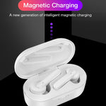 DT-5 IPX 防水藍牙 5.0 無線藍牙耳機附磁吸充電盒，支援通話及行動電源功能, DT-5